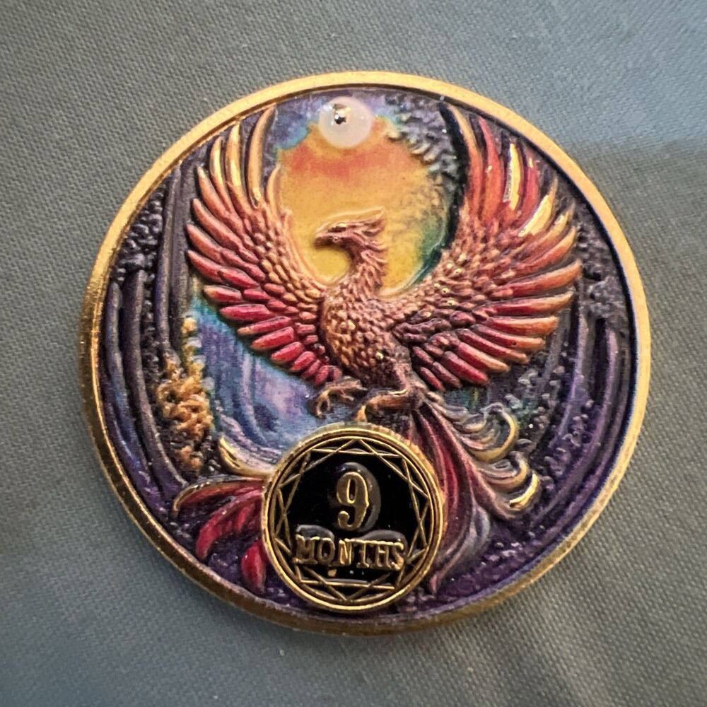 AA Sobriety Nine 9 Month Phoenix Rising Coin Chip Sober Anniversary